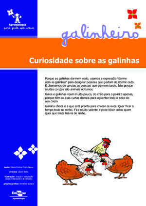 Curiosidades